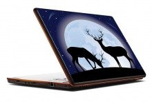 Naklejka na laptopa - Jelenie 0058