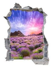 Naklejka na ścianę Dziura 3D - Pole lawendy 0025