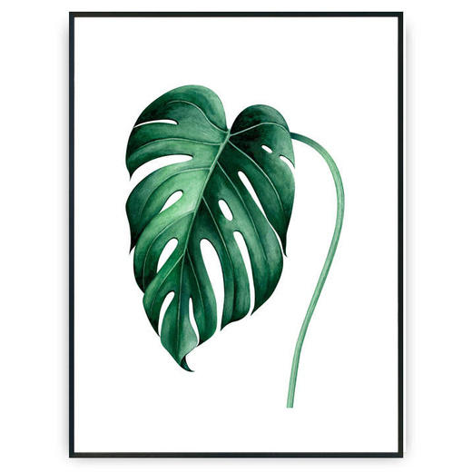 Plakat - Monstera v1