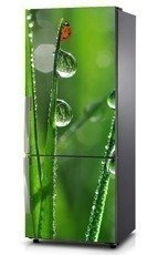 Mata na lodówkę - Poranny spacer 0396