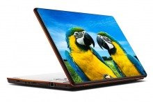 Naklejka na laptopa - Papugi 0060