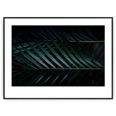 Plakat - Liście z tropików