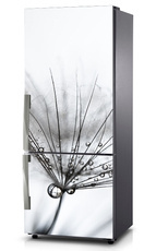 Mata na lodówkę - Rosa na dmuchawcu