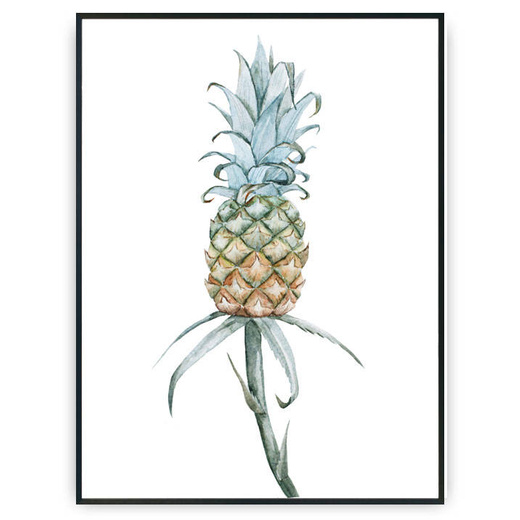 Plakat - Rosnący ananas