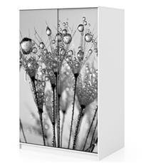 Naklejka na szafę - Rosa na dmuchawcach 0089