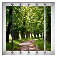 Naklejka na ścianę Okno 3D Leśna ścieżka 0029