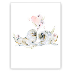 Plakat - Bawiące się foki