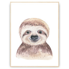 Plakat - Wesoły leniwiec