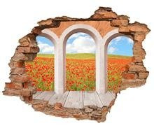 Naklejka na ścianę Dziura 3D Kwitnące maki 0352