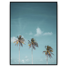 Plakat - Korony palm