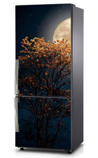 Mata na lodówkę - Wilcza pełnia