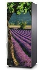 Mata na lodówkę - Widok na pole lawendowe 0048