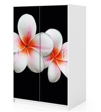 Naklejka na szafę - Tropikalny hibiskus 0095