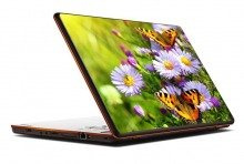 Naklejka na laptopa - Motyle na łące 0042