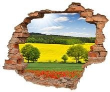Naklejka na ścianę Dziura 3D Letni krajobraz w Czechach 0129