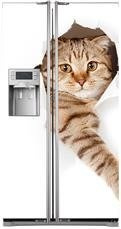 Naklejka na lodówkę side-by-side - Miły kotek 0426