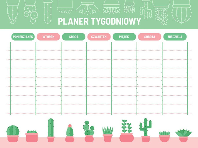 Tygodniowy planer magnetyczny - Kaktusy