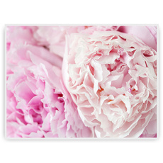 Plakat - Ogrom różu