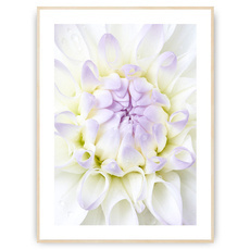 Plakat - Trzy kolory