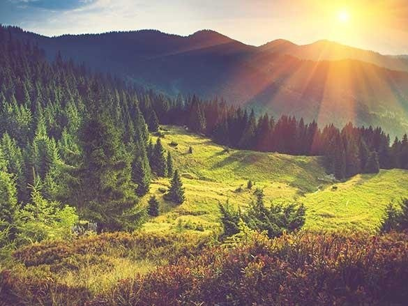 Naklejka na szafę - Polana górska o świcie 0021