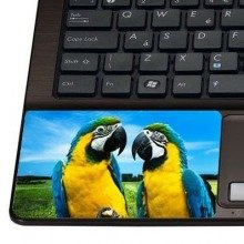 Naklejka pod nadgarstek - Papugi 0055