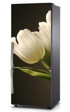Naklejka na lodówkę - Białe tulipany 0037