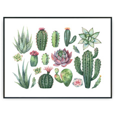 Plakat - Rodzaje kaktusów
