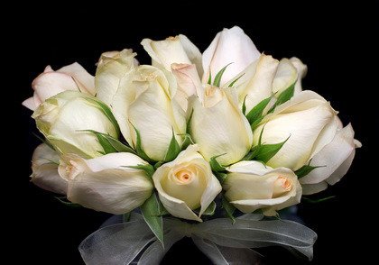Fototapeta - Bukiet białych tulipanów - 0456