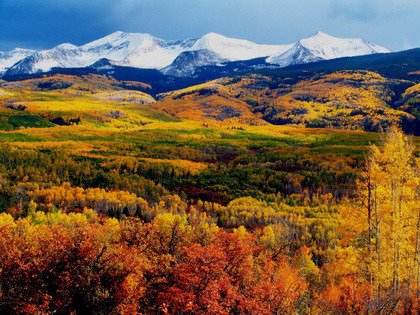 Fototapeta - Jesien w Kolorado - 0732