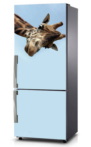 Mata na lodówkę - Zaglądająca żyrafa