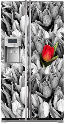 Mata na lodówkę side-by-side - Samotny czerwony tulipan 0106