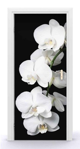 Naklejka na drzwi - Kwitnąca biała orchidea 0667