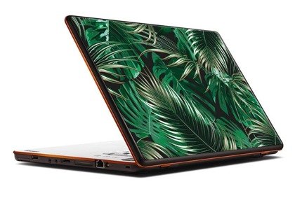 Naklejka na laptopa - Liście palmowe 0278
