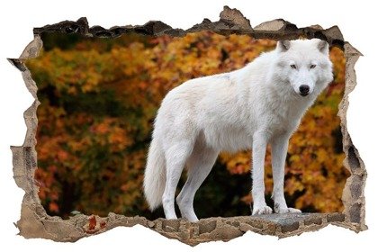 Naklejka na ścianę Dziura 3D Biały wilk 0471
