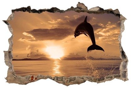 Naklejka na ścianę Dziura 3D Delfin i zachód słońca 0462