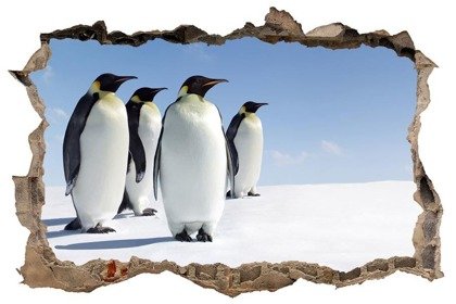 Naklejka na ścianę Dziura 3D Pingwiny 0460