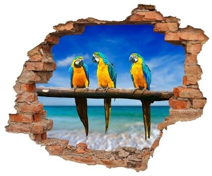 Naklejka na ścianę Dziura 3D Trzy papugi 0128