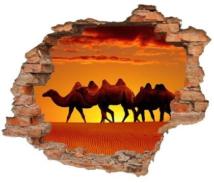 Naklejka na ścianę Dziura 3D Wielbłądy na pustyni 0431
