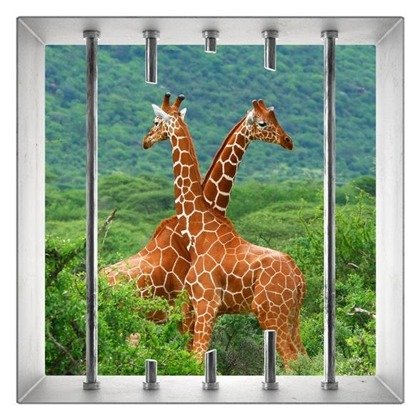 Naklejka na ścianę Okno 3D Zakochane żyrafy 0054