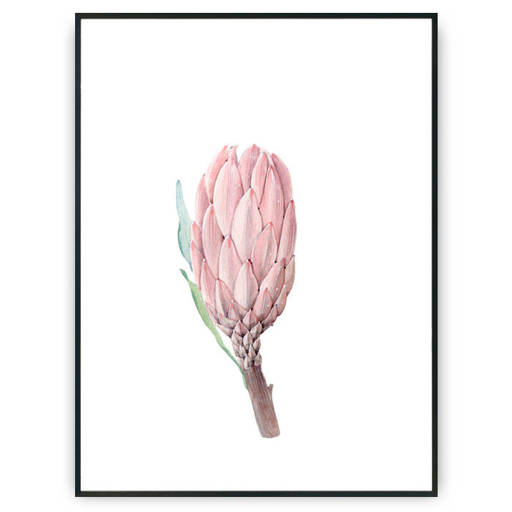 Plakat - Malowany kwiat v2