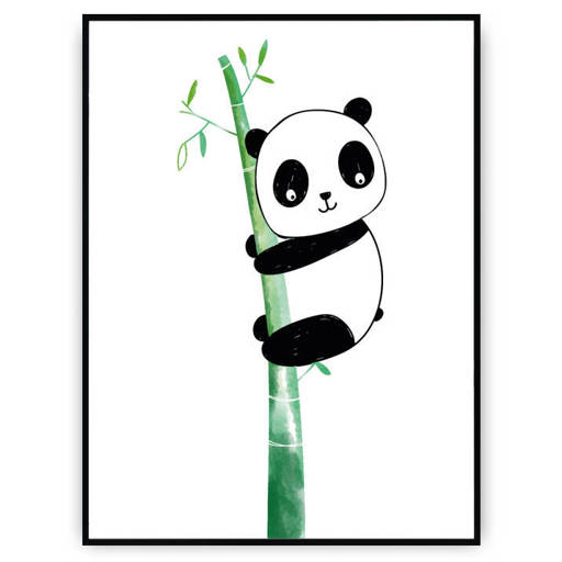 Plakat - Panda na bambusie