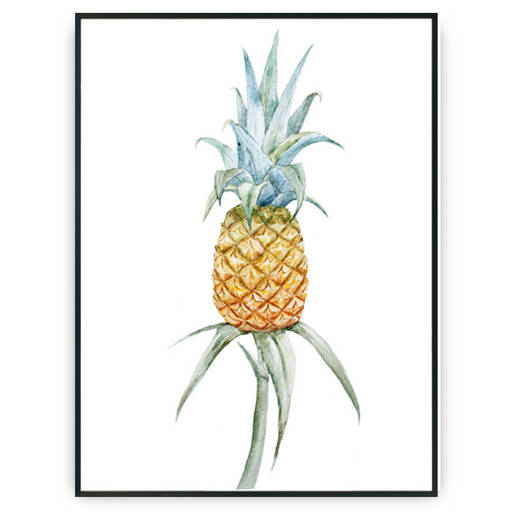 Plakat - Rosnący ananas v2