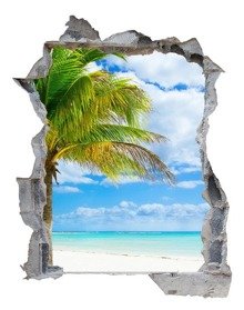 Naklejka na ścianę Dziura 3D - Palma na egzotycznej plaży 0043
