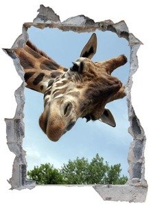 Naklejka na ścianę Dziura 3D - Zaglądająca żyrafa 0449